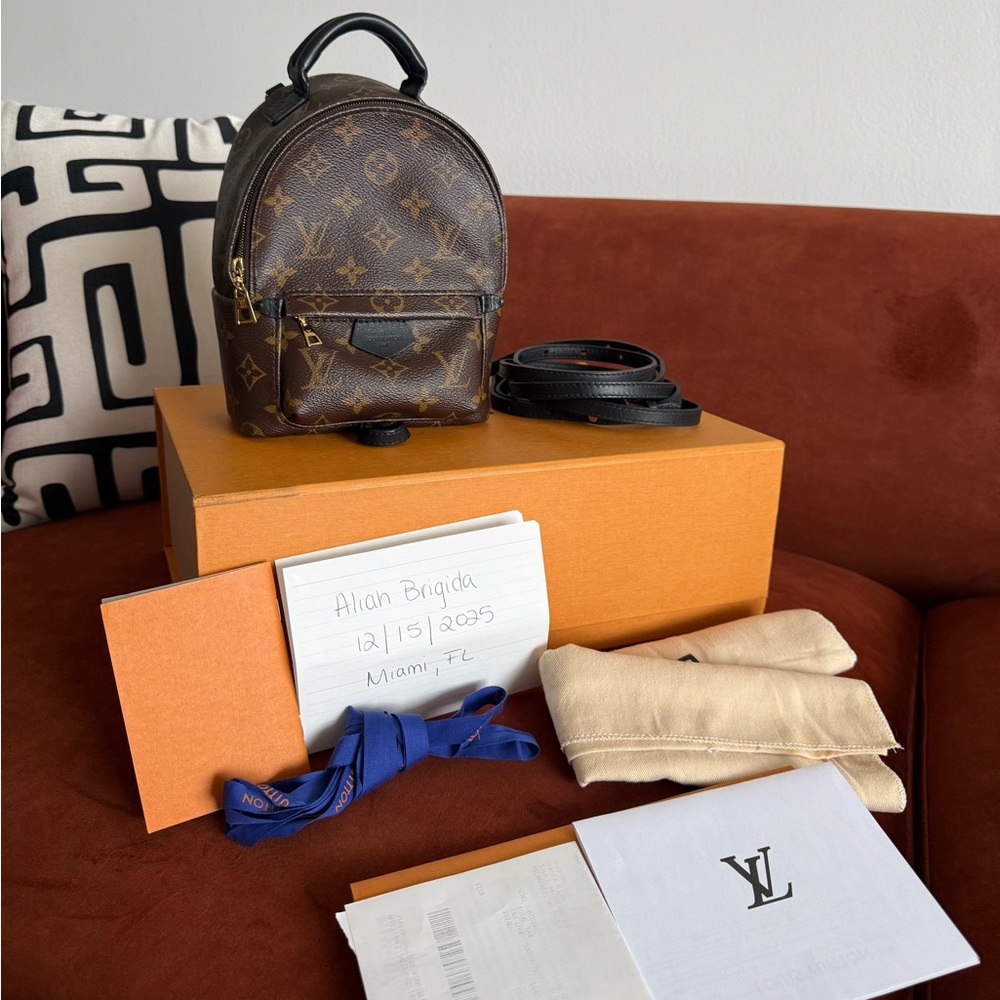 Louis Vuitton Palm Springs Mini Backpack